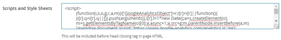 How to add custom script into tags?